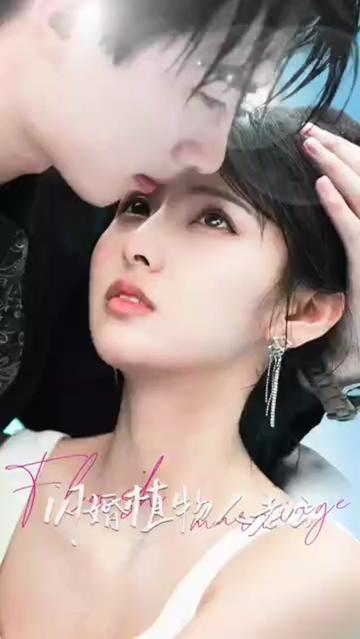 闪婚植物人老公81-100集(大结局)