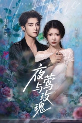 夜莺与玫瑰短剧(全集)