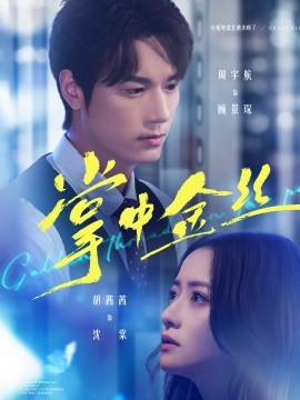 掌中金丝 长姐她竟是隐藏大佬(全集)