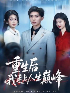 重生后我走上人生巅峰(全集)