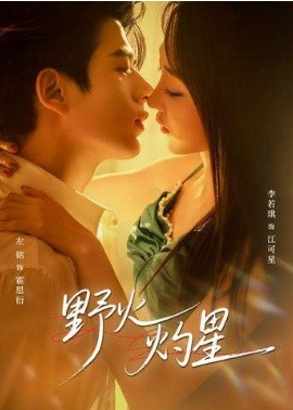 野火灼星(全集)